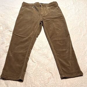 Banana Republic Tan Corduroy Flare Pants size 31